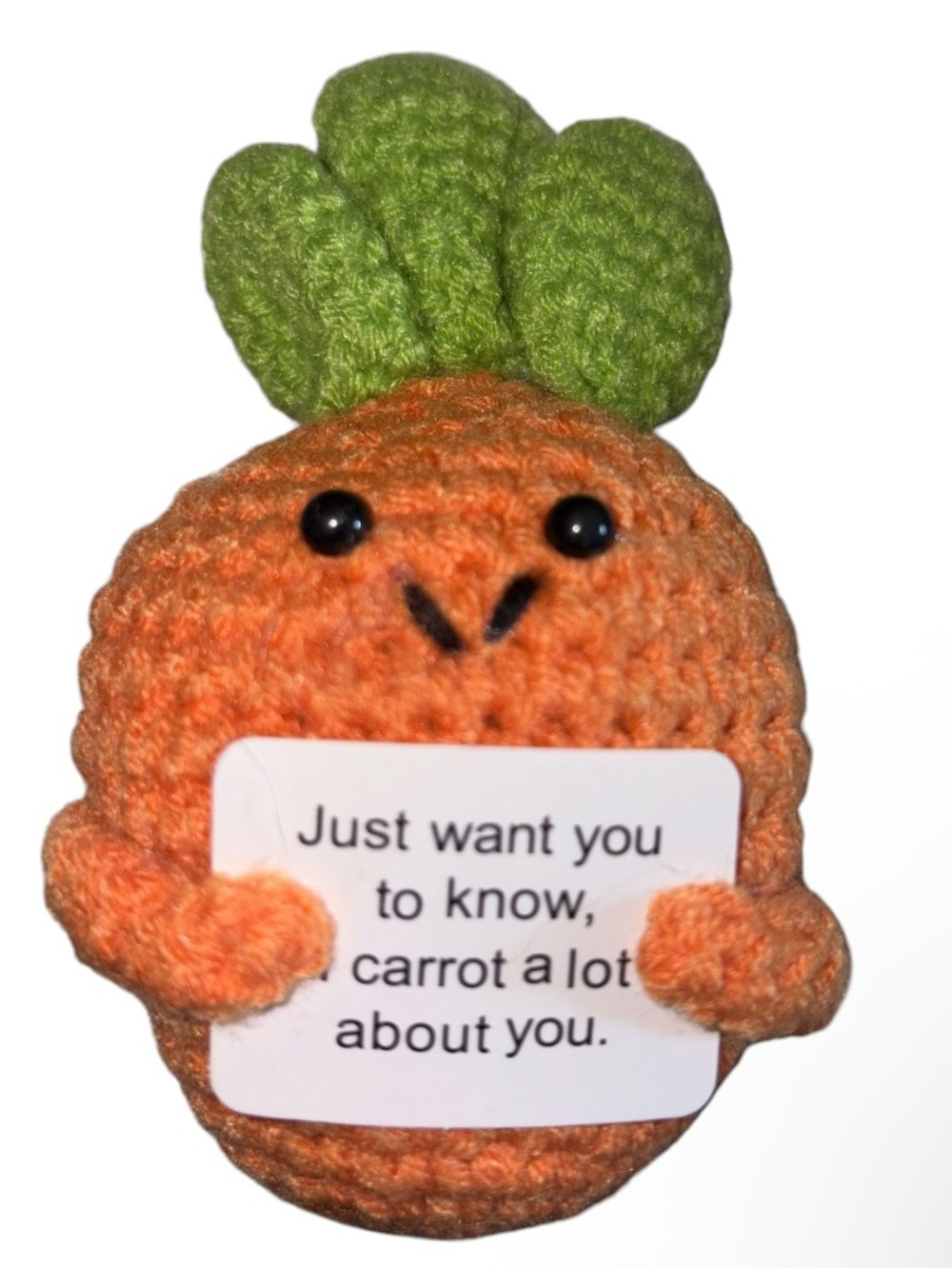 Plush Crochet Carrot, Pickle or Scallion
